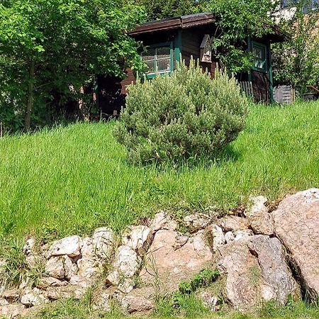 Huettenflair-Mosel Ferienwohnung Enkirch Εξωτερικό φωτογραφία