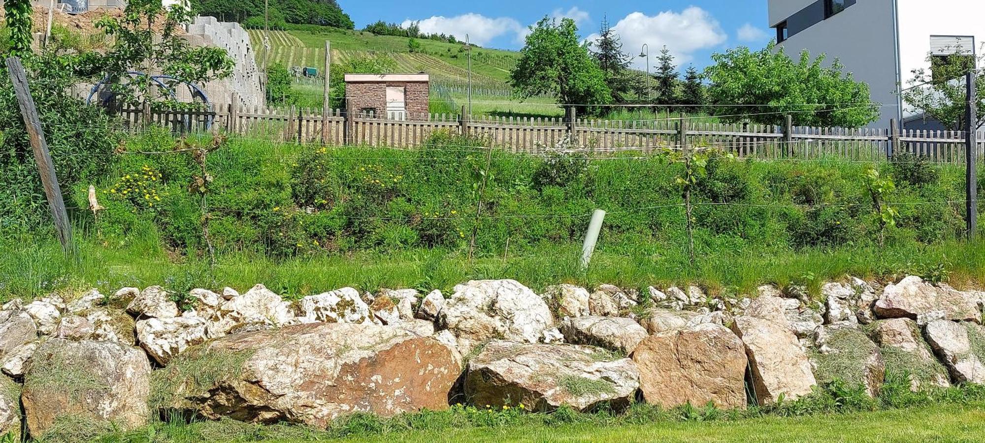 Huettenflair-Mosel Ferienwohnung Enkirch Εξωτερικό φωτογραφία