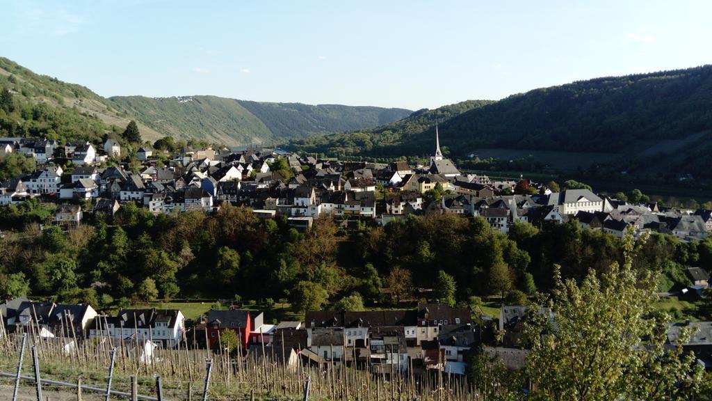 Huettenflair-Mosel Ferienwohnung Enkirch Εξωτερικό φωτογραφία